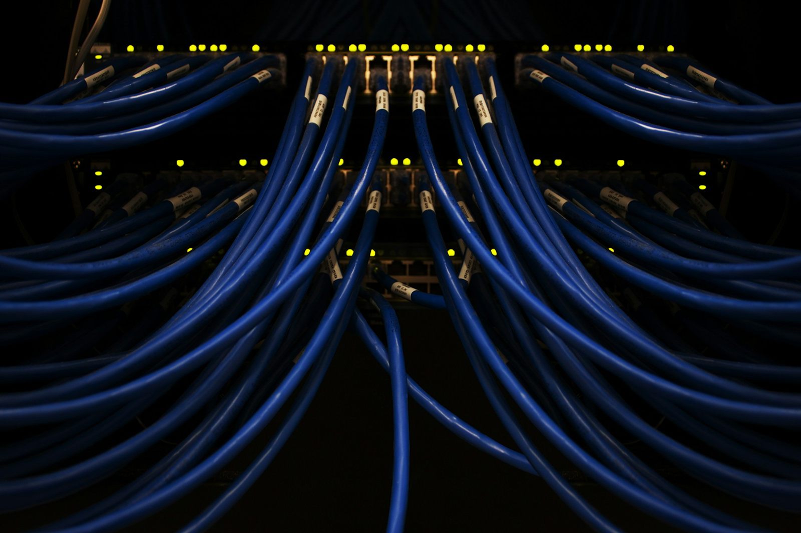 Armadio di rete con switch e cablaggio ordinato