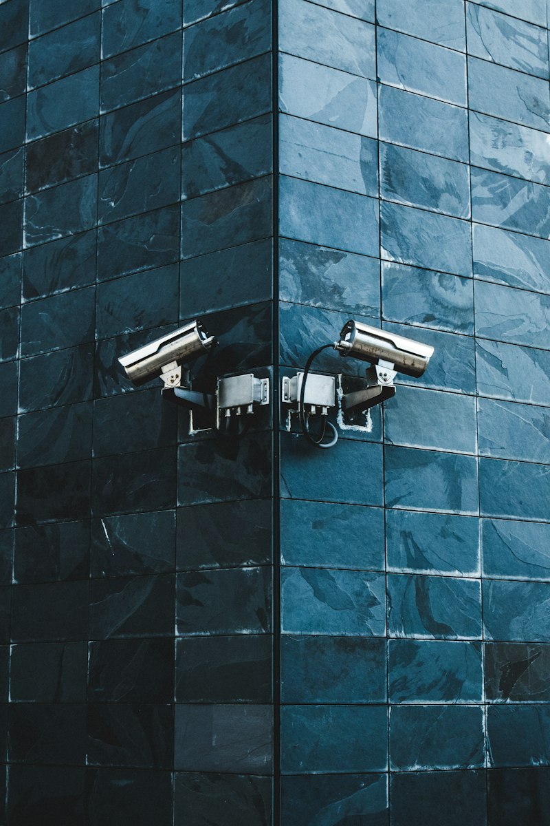Videosorveglianza e sicurezza